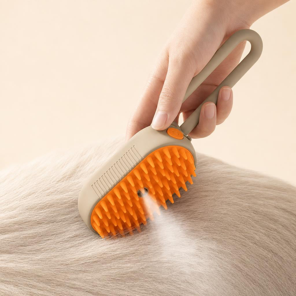 Brush & enjoy